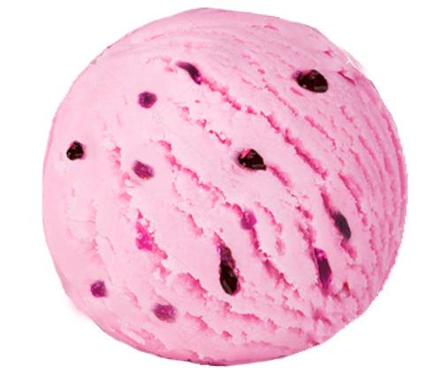 FILYOVSKOYE PLOMBIERE ICE CREAM WITH BLUEBERRY TRAY